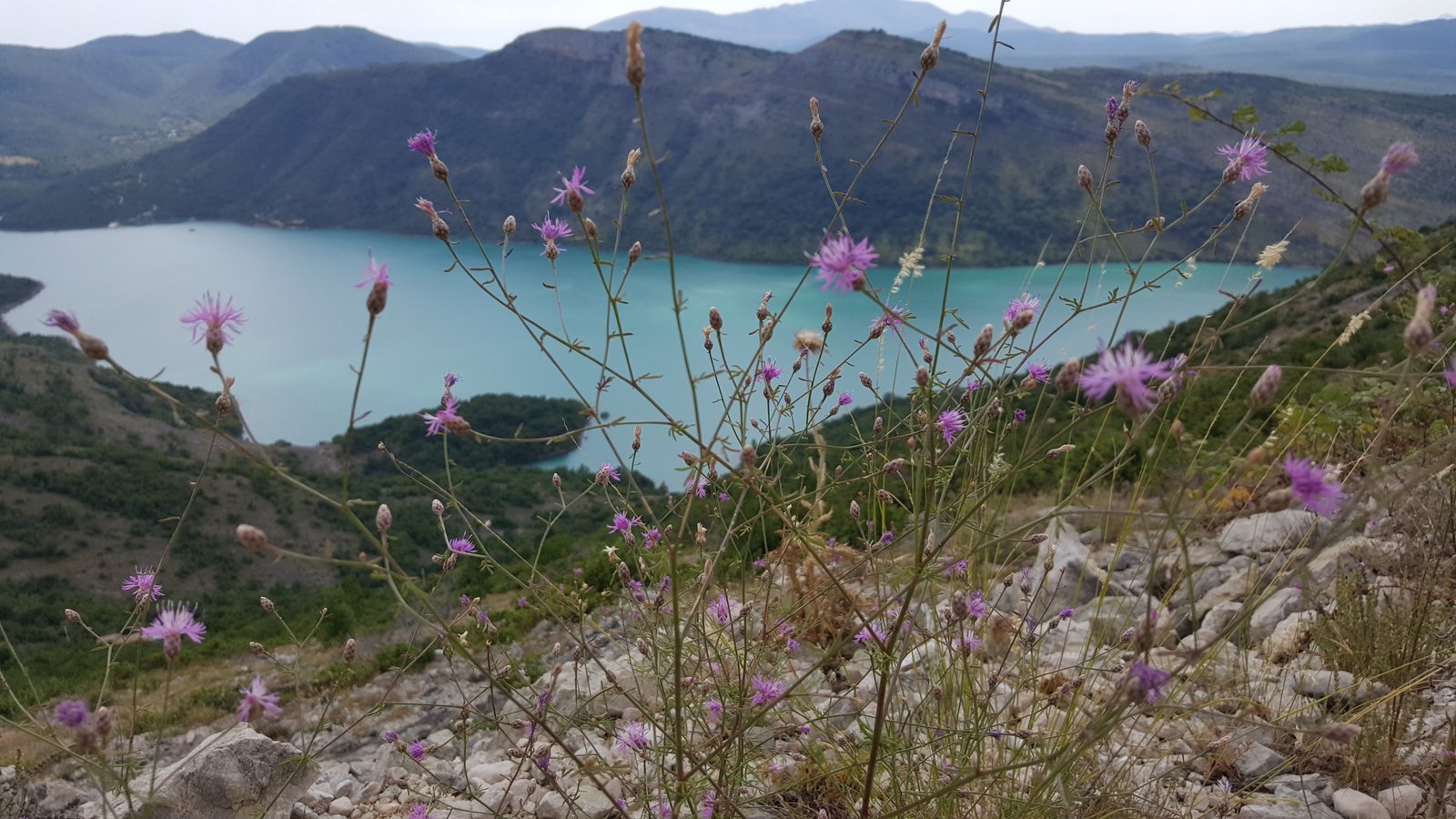 Crvena Stijena